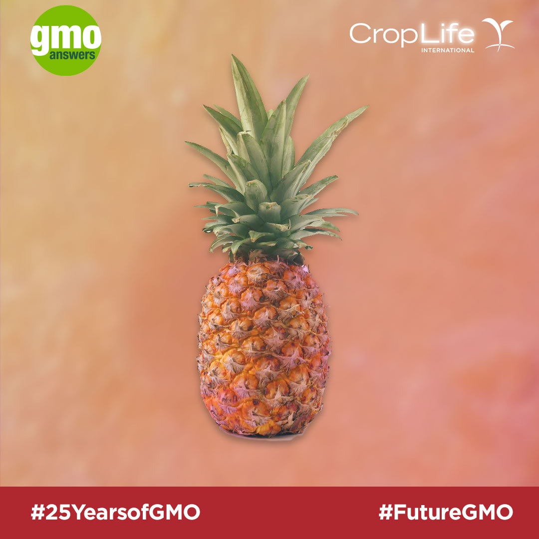 25 Things to Know From 25 Years of GMOs GMO Answers